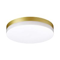 NOVOTECH 358888 STREET NT22 782 золото Светильник ландшафтный светодиодный IP54 LED 4000К 30W 220V OPAL