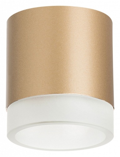 Накладной светильник Lightstar Rullo R349080 Накладной светильник Lightstar Rullo R349080
