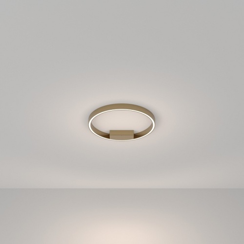 Накладной светильник Maytoni Rim MOD058CL-L25BSK фото 2