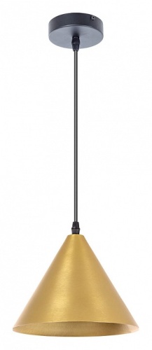 Подвесной светильник Arte Lamp DAVID A7033SP-1BK фото 2
