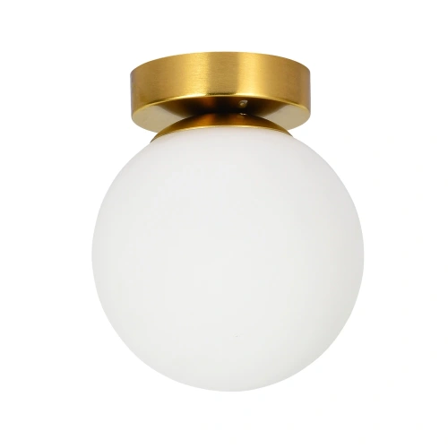 Настенно-потолочный светильник Arte Lamp ALCOR A2224PL-1PB Настенно-потолочный светильник Arte Lamp ALCOR A2224PL-1PB
