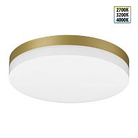 NOVOTECH 359733 STREET золото матовое Светильник ландшафтный светодиодный с переключателем цветовой температуры и мощности LED 20-25-30 180-265V OPAL