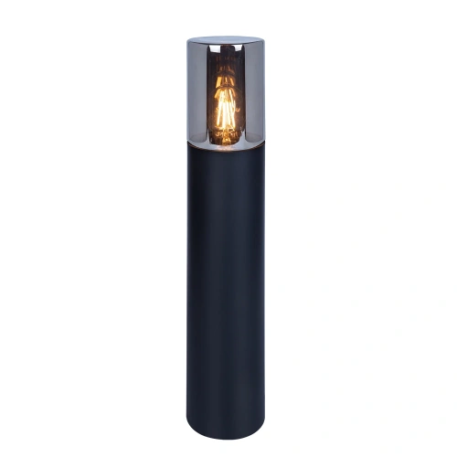 Ландшафтный светильник Arte Lamp WAZN A6215PA-1BK Ландшафтный светильник Arte Lamp WAZN A6215PA-1BK