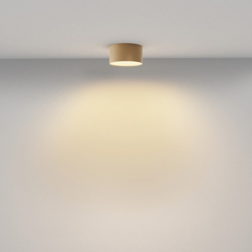 Накладной светильник Maytoni Technical Zon C032CL-12W2.7K-RD-MG фото 4