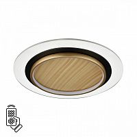 7731/80L MITRA LED SN 600 Светильник металл/акрил/белый/под дерево/прозрачный/черный LED 80Вт 3000-6500К D480 IP20 пульт ДУ SUNNY