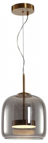 Подвесной светильник Arte Lamp Padova A2404SP-23SM фото 2