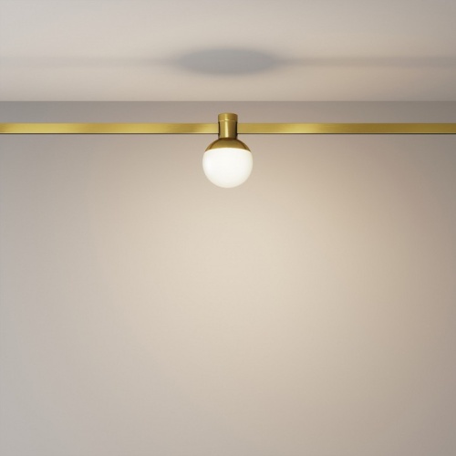 Накладной светильник Maytoni Technical Luna TR149-1-5W3K-BS фото 2