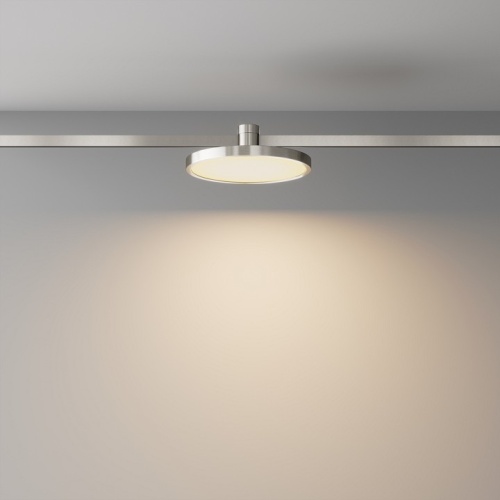 Накладной светильник Maytoni Technical Plato TR153-1-10W3K-PT фото 2
