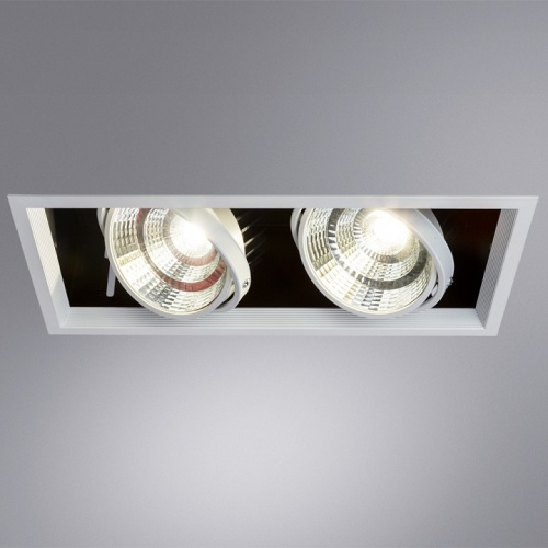 Карданный светильник Arte Lamp MERGA A8450PL-2WH фото 4
