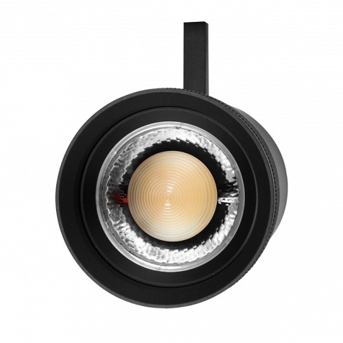 Светильник на штанге Lightstar Canno Pro 304407 фото 2