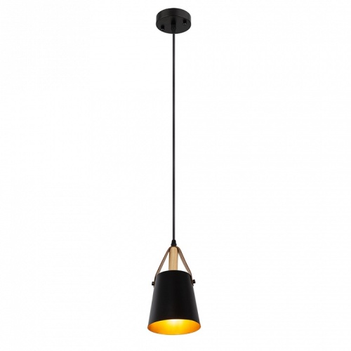Подвесной светильник Arte Lamp THOMAS A7032SP-1BK фото 3 Подвесной светильник Arte Lamp THOMAS A7032SP-1BK фото 3
