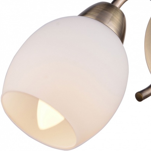 Бра TopLight Merry TL3780B-01AB фото 2