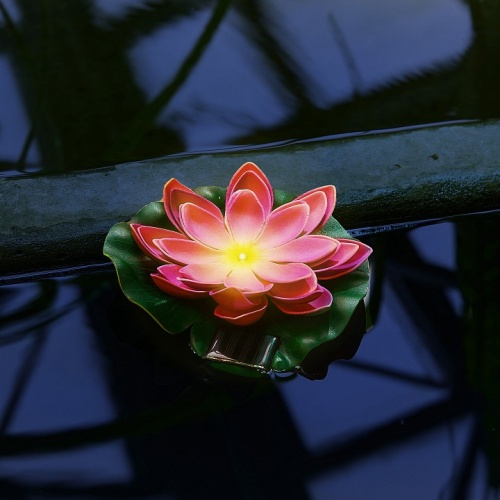 Растение Uniel WATERLILY UL-00011599 фото 7 Растение Uniel WATERLILY UL-00011599 фото 7