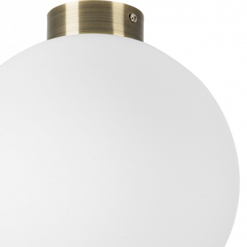 Накладной светильник Lightstar Globo 812031 фото 2 Накладной светильник Lightstar Globo 812031 фото 2