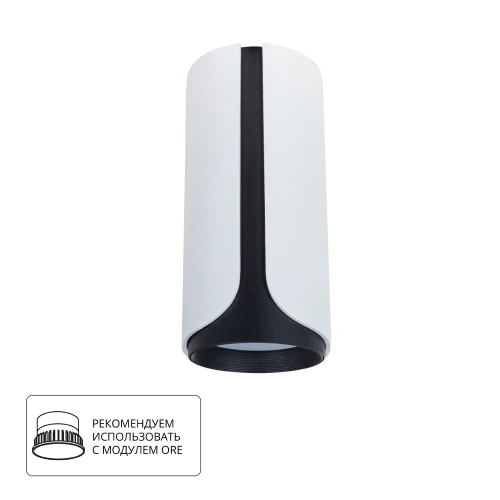 Точечный накладной светильник Arte Lamp PINO A7376PL-1WH Точечный накладной светильник Arte Lamp PINO A7376PL-1WH