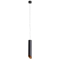 Точечный подвесной светильник Arte Lamp PILON-GOLD A1536SP-1BK