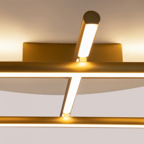 Потолочная люстра Maytoni Radiance MOD278CL-L50G3K фото 10