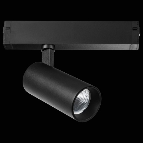 Светильник на штанге Lightstar Teta 205037R фото 2