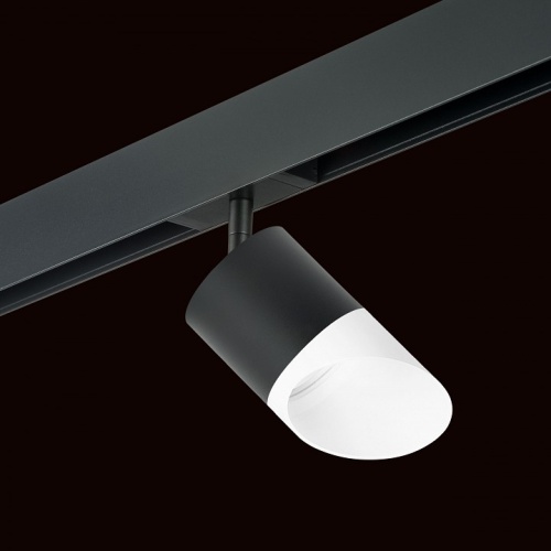 Светильник на штанге Lightstar Rullo PRO348786 фото 2 Светильник на штанге Lightstar Rullo PRO348786 фото 2
