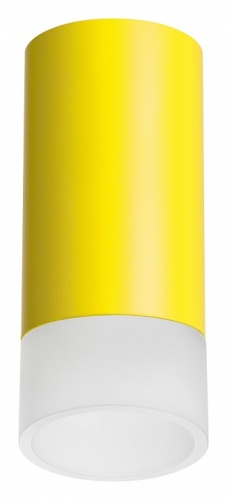 Накладной светильник Lightstar Rullo R43331 Накладной светильник Lightstar Rullo R43331