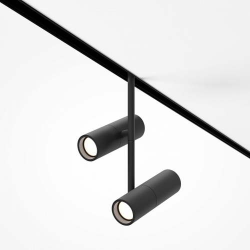 Светильник на штанге Maytoni Technical Elti Duo TR005-4-2X12W-DS-B фото 2 Светильник на штанге Maytoni Technical Elti Duo TR005-4-2X12W-DS-B фото 2