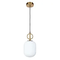 Подвесной светильник Divinare BOTEIN 5013/18 SP-1