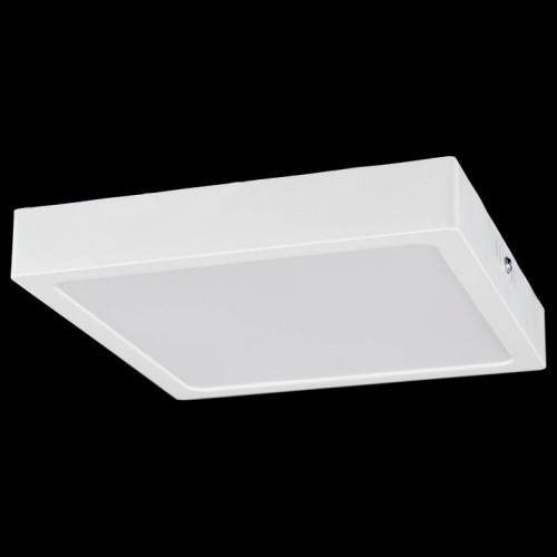 Накладной светильник Citilux Галс CL55K22N Накладной светильник Citilux Галс CL55K22N