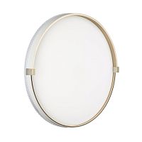 SONEX 7646/ELN PALE SN 189 Светильник пластик/золотой LED 76Вт 3000/4000/6000К D490 IP43 CCT OLIDI WHITE