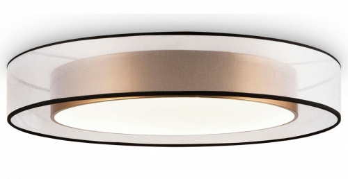 Накладной светильник Freya Zoticus FR6005CL-L48G Накладной светильник Freya Zoticus FR6005CL-L48G