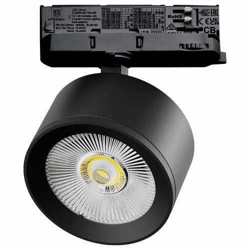 Светильник на штанге Lightstar Alta Pro A5537QT