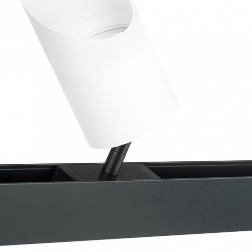 Светильник на штанге Lightstar Rullo PRO348686 фото 3 Светильник на штанге Lightstar Rullo PRO348686 фото 3