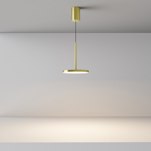 Подвесной светильник Maytoni Technical Plato P076PL-L12W3K-BS фото 4 Подвесной светильник Maytoni Technical Plato P076PL-L12W3K-BS фото 4