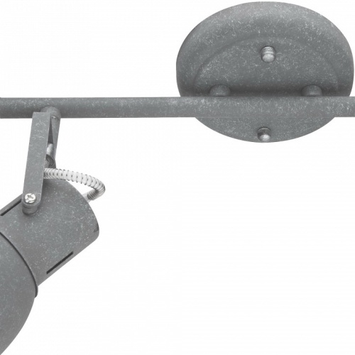 Спот Arte Lamp Jovi A1677PL-2GY фото 4
