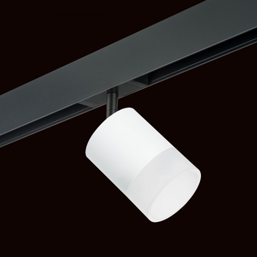 Светильник на штанге Lightstar Rullo PRO348681 фото 2 Светильник на штанге Lightstar Rullo PRO348681 фото 2