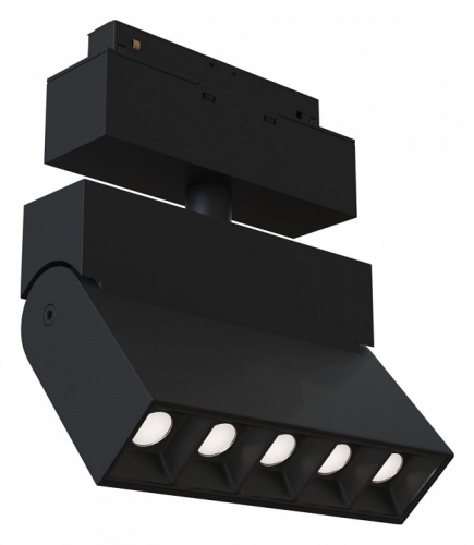 Светильник на штанге Maytoni Technical Points TR015-2-10W4K-B