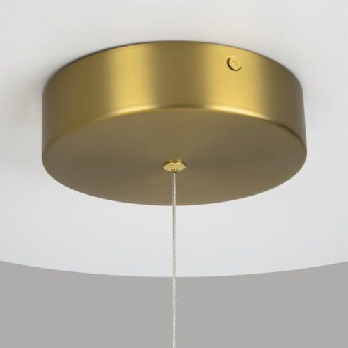 Подвесная люстра Maytoni Radiance MOD278PL-L86G3K фото 10