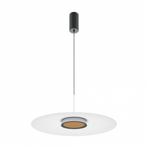 Подвесной светильник Maytoni Halo MOD041PL-L15W3K1 фото 2