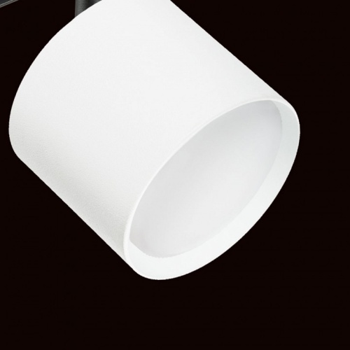Светильник на штанге Lightstar Rullo PRO3486 фото 4 Светильник на штанге Lightstar Rullo PRO3486 фото 4