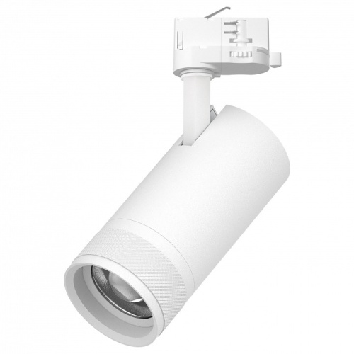 Светильник на штанге Lightstar Canno Pro C4306QT Светильник на штанге Lightstar Canno Pro C4306QT