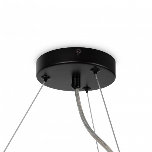 Подвесная люстра Maytoni Dallas MOD545PL-25B фото 5