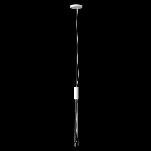 Подвес Maytoni Technical Zon C032C-04-W-1 фото 3