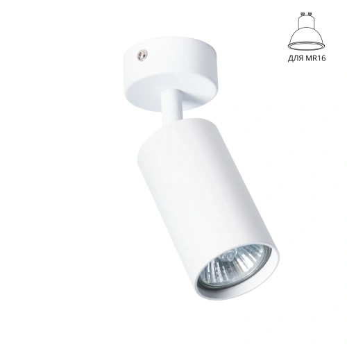 Спот Arte Lamp AQUARIUS A3216PL-1WH Спот Arte Lamp AQUARIUS A3216PL-1WH