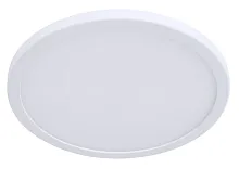 Потолочный светильник Arte Lamp A2532PL-1WH