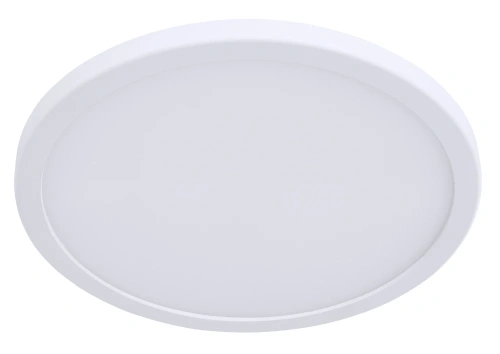Потолочный светильник Arte Lamp A2532PL-1WH Потолочный светильник Arte Lamp A2532PL-1WH