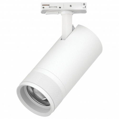 Светильник на штанге Lightstar Canno Pro C4306SS