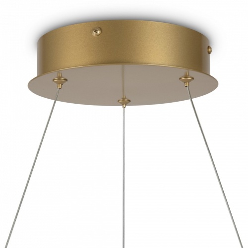 Подвесной светильник Maytoni Halo MOD100PL-L47BSK1 фото 5 Подвесной светильник Maytoni Halo MOD100PL-L47BSK1 фото 5