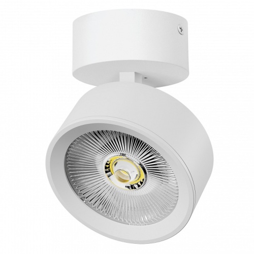 Спот Lightstar Alta Pro A5646SO фото 2