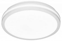 Накладной светильник Citilux LUNS CL711020V