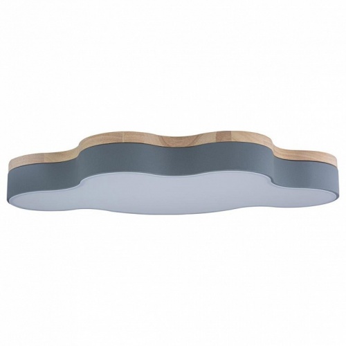 Накладной светильник Loft it Axel 4 10005/36 Grey Накладной светильник Loft it Axel 4 10005/36 Grey