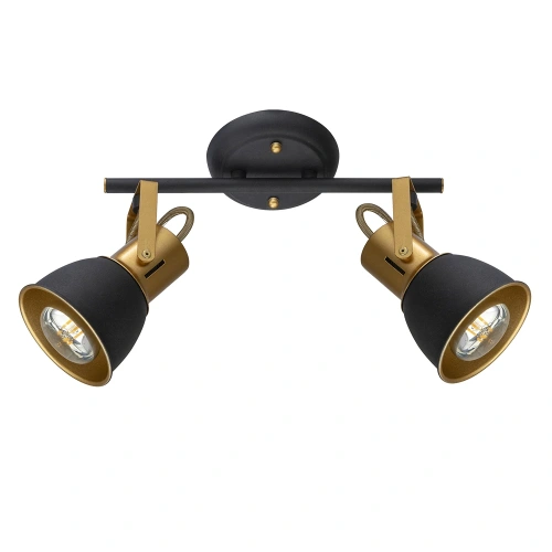 Спот Arte Lamp JOVI A1677PL-2GO Спот Arte Lamp JOVI A1677PL-2GO
